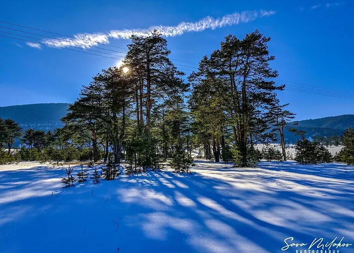 아파트 Valentina *